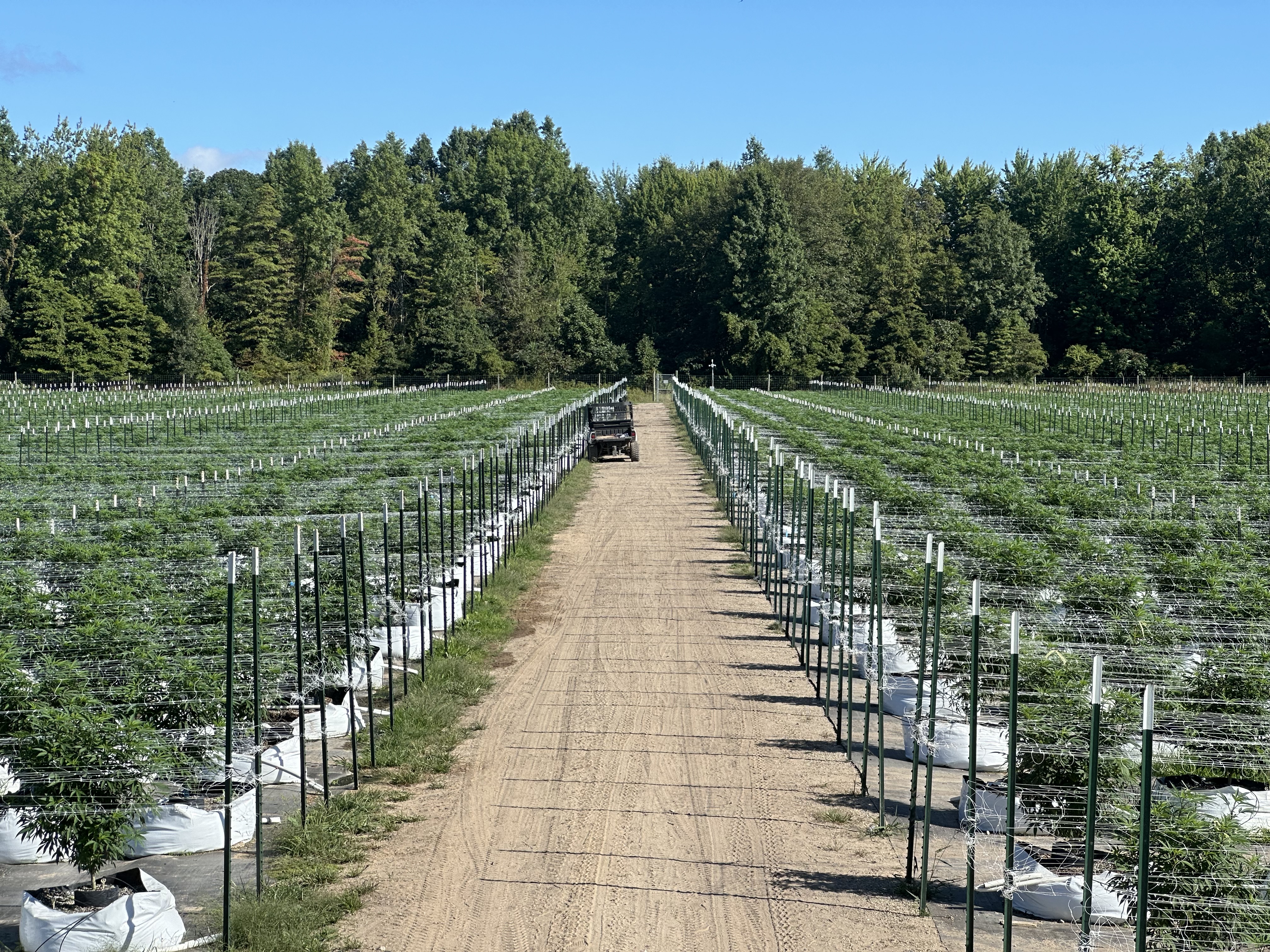 Center path